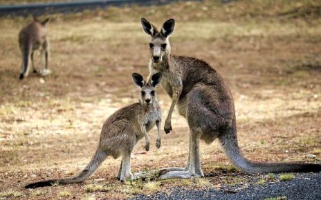 Australie