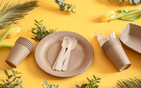 Vaisselle Jetable Compostable