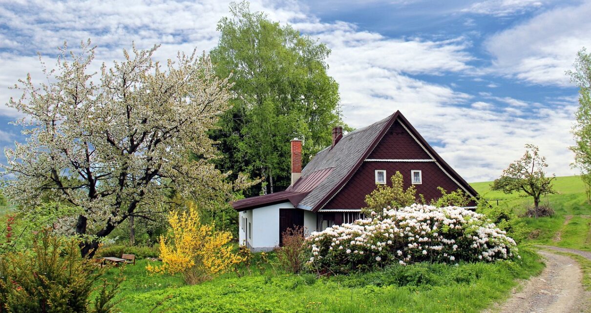 Studio de Jardin en Bois