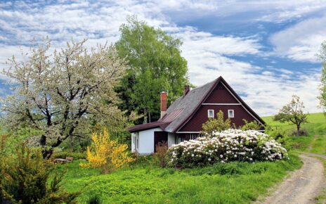 Studio de Jardin en Bois